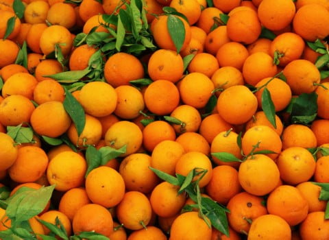 قیمت نارنگی محلی جهرم + خرید باور نکردنی
